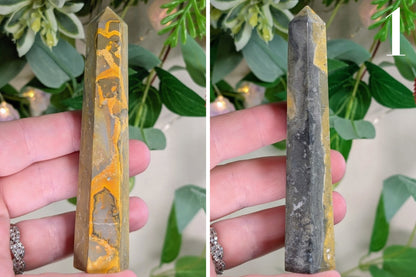Bumblebee Jasper Point