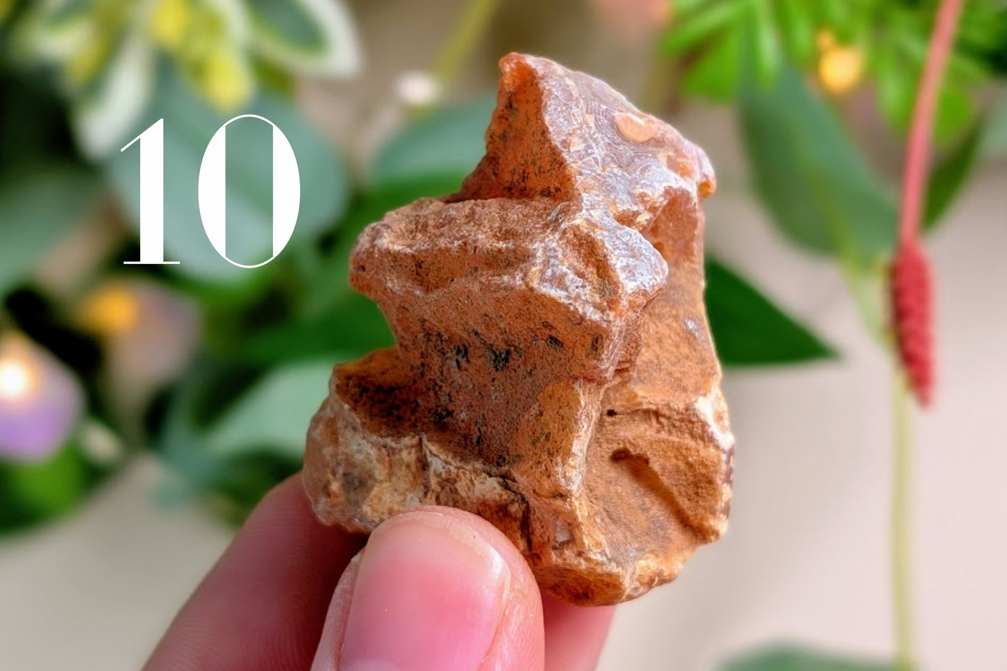 Carnelian Rough Pieces