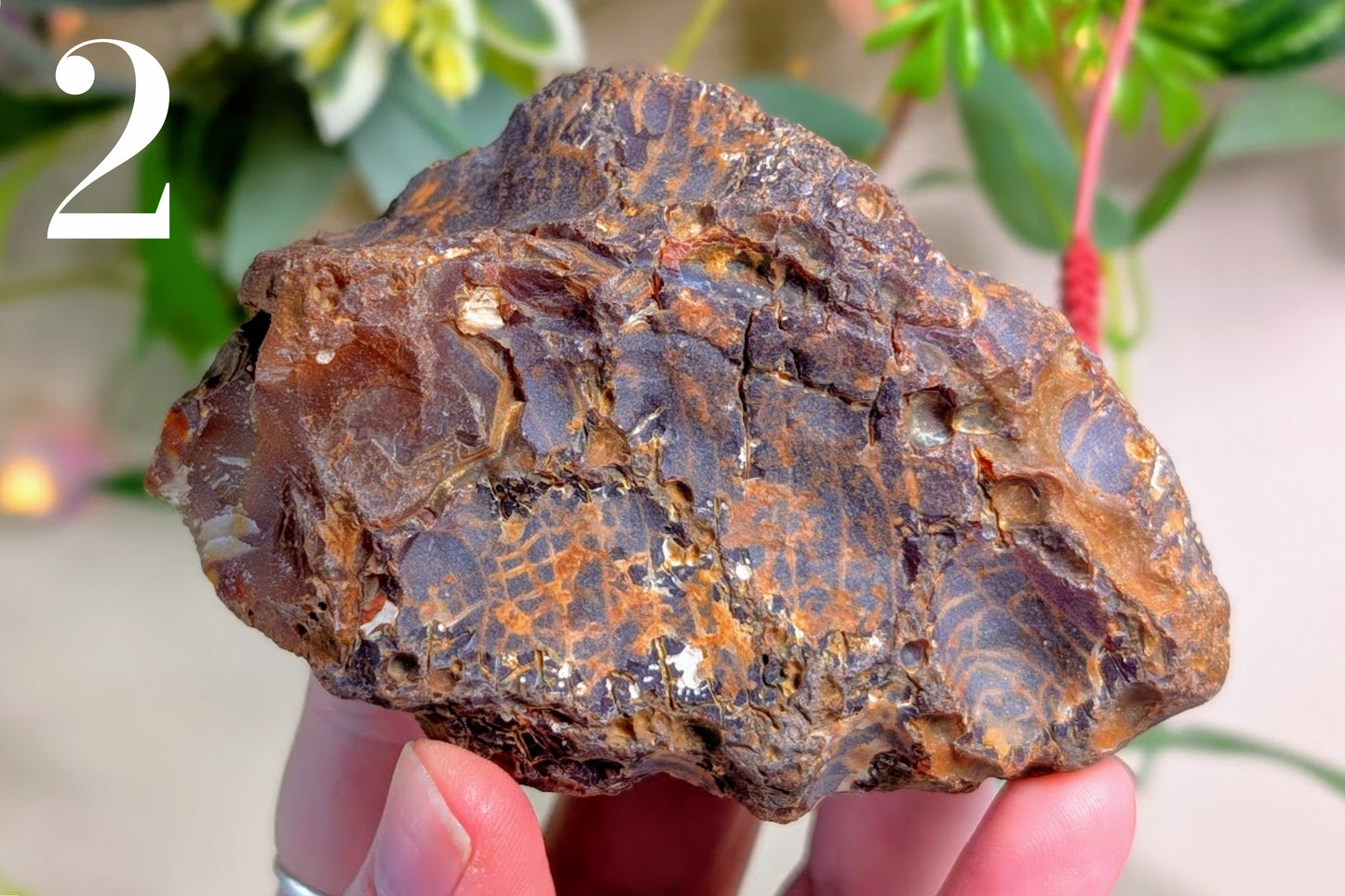 Carnelian Rough Pieces