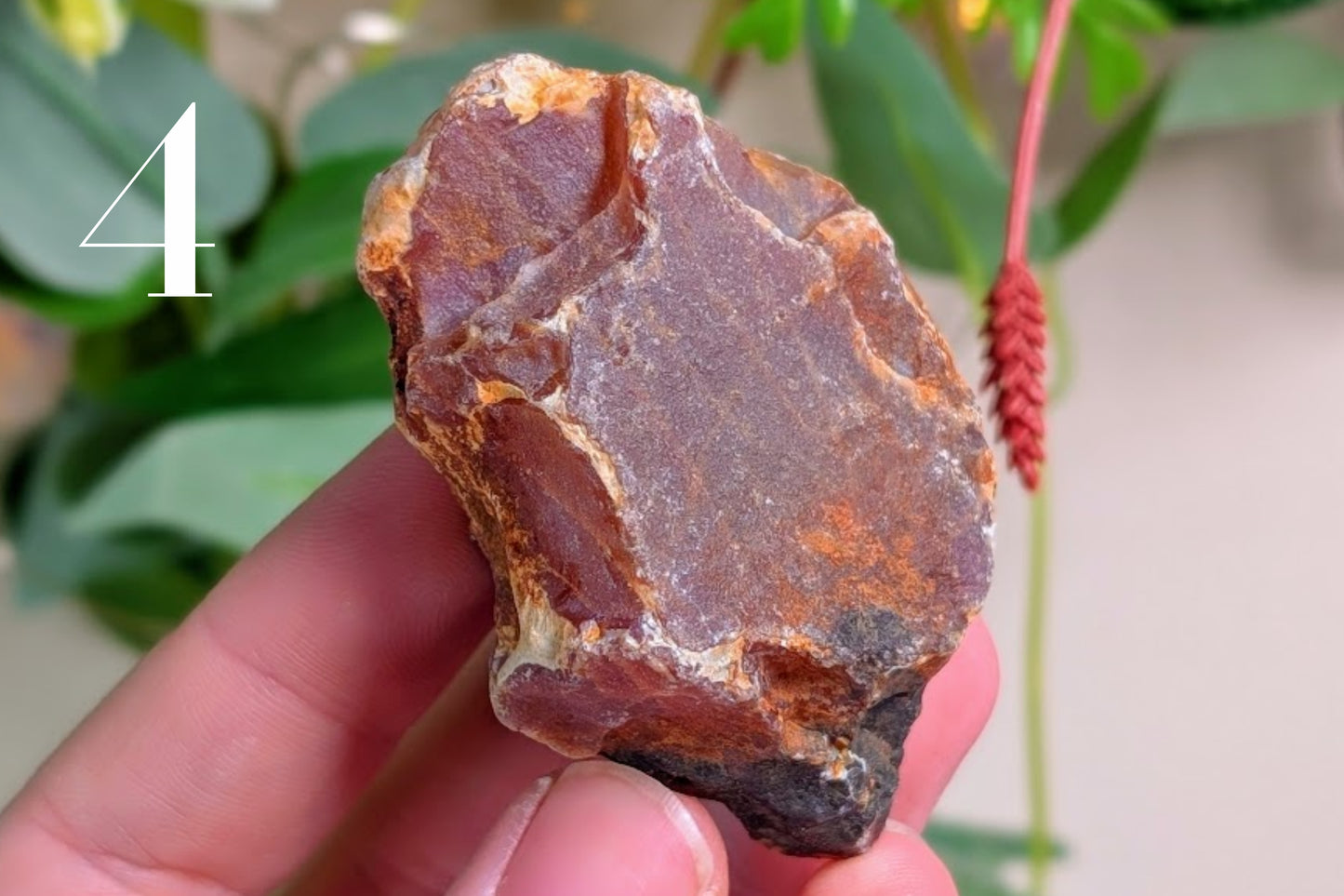 Carnelian Rough Pieces