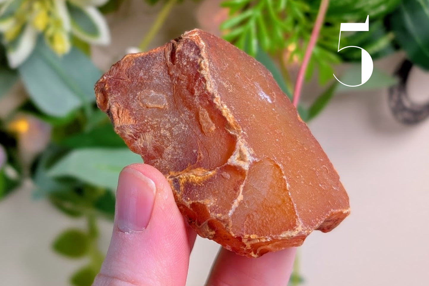 Carnelian Rough Pieces