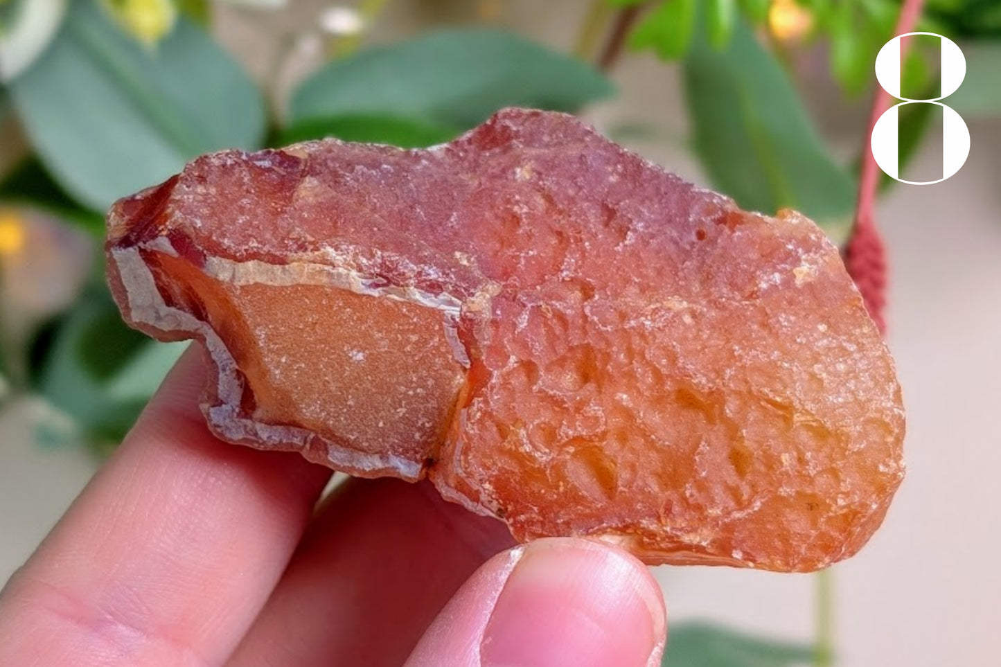 Carnelian Rough Pieces