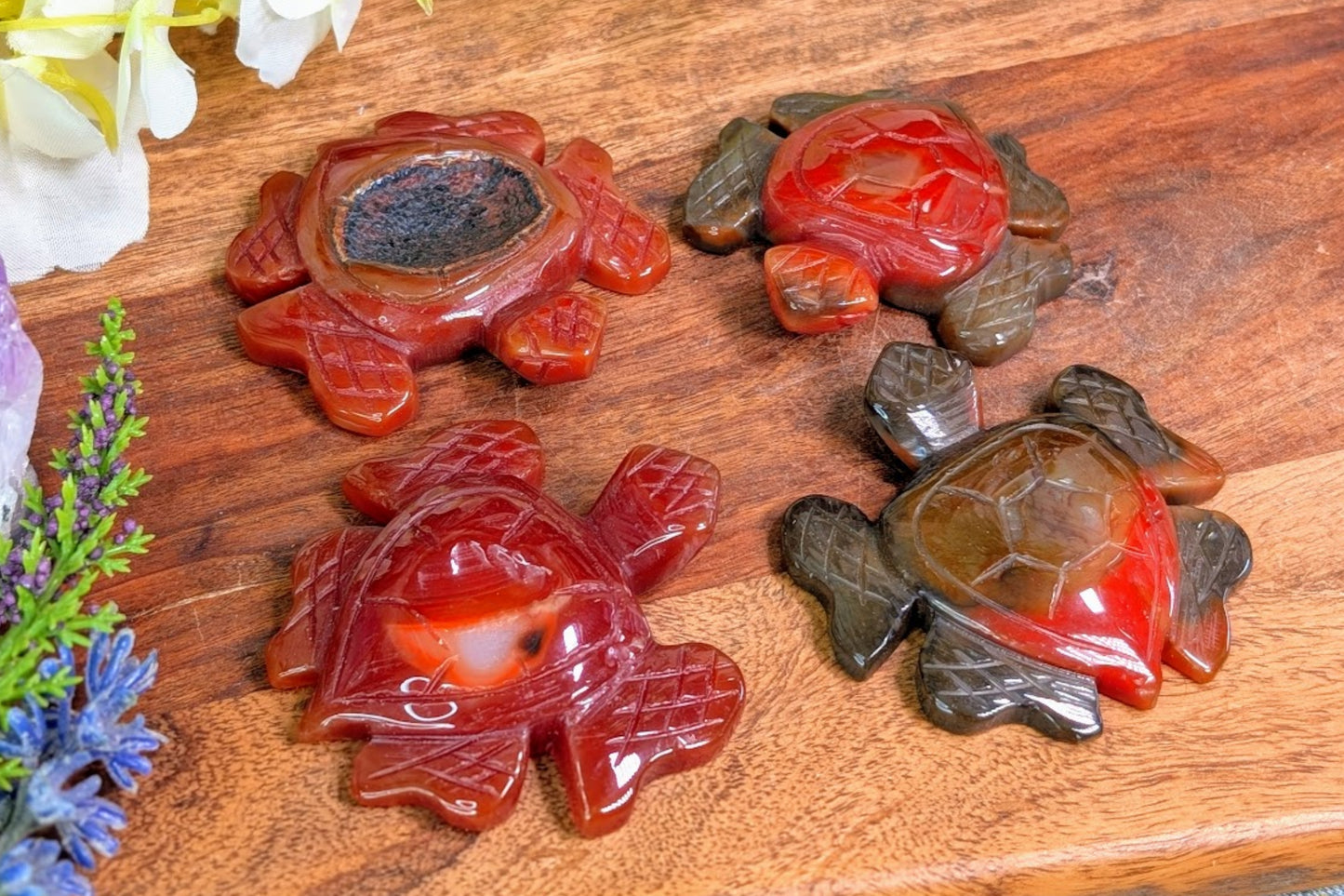 Carnelian Turtle