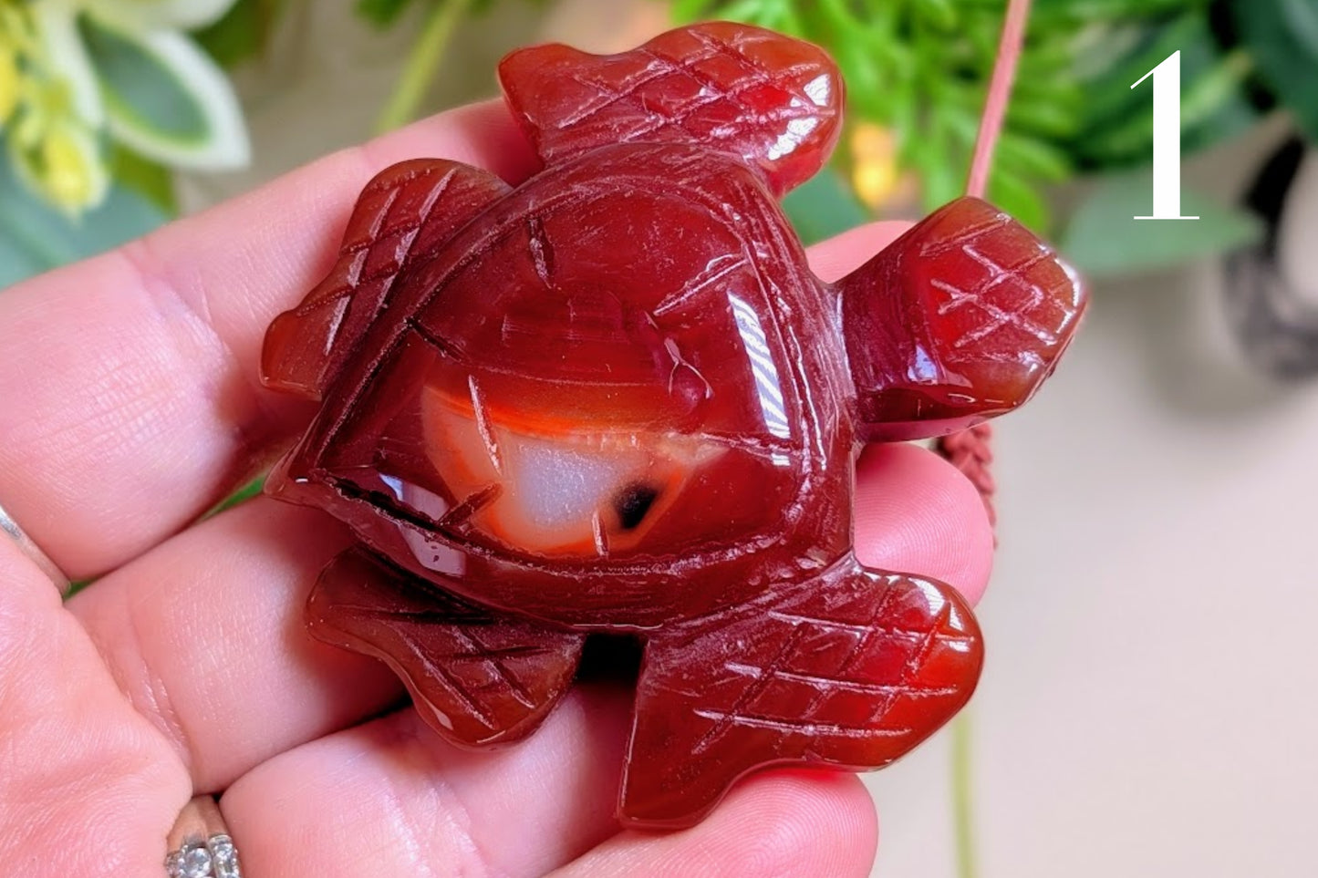 Carnelian Turtle