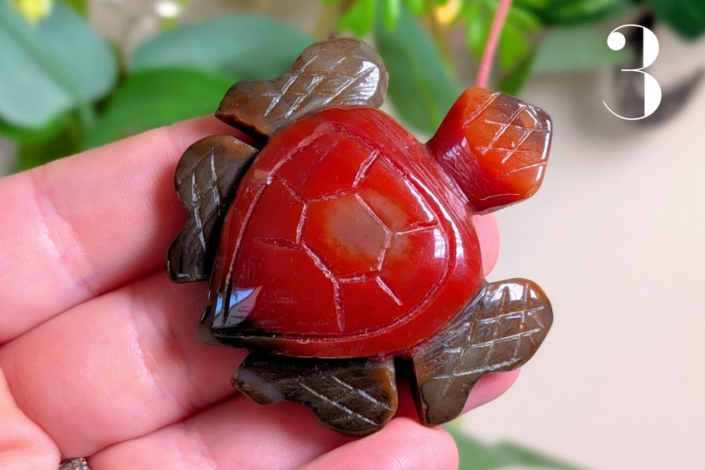 Carnelian Turtle