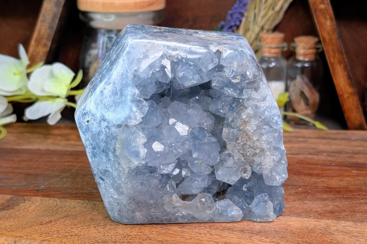Celestite Cut Base Geode
