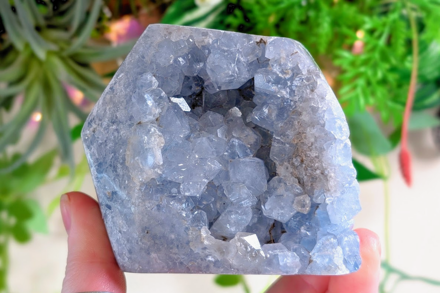 Celestite Cut Base Geode