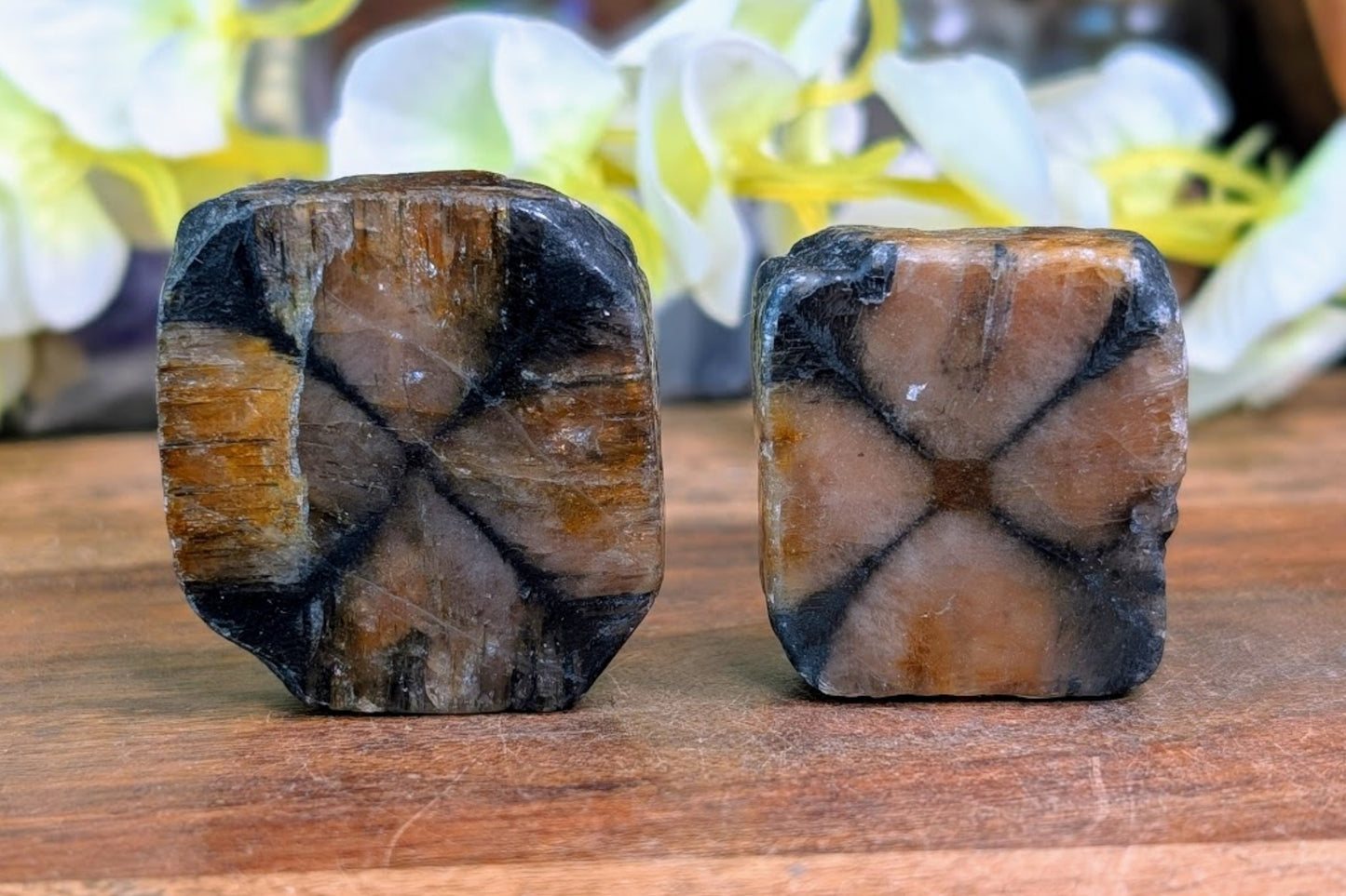 Chiastolite Thumb Stone