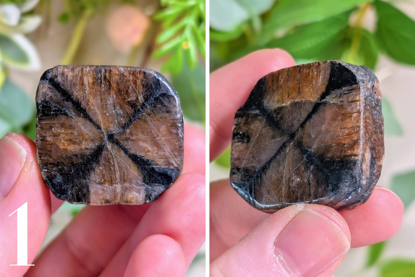 Chiastolite Thumb Stone