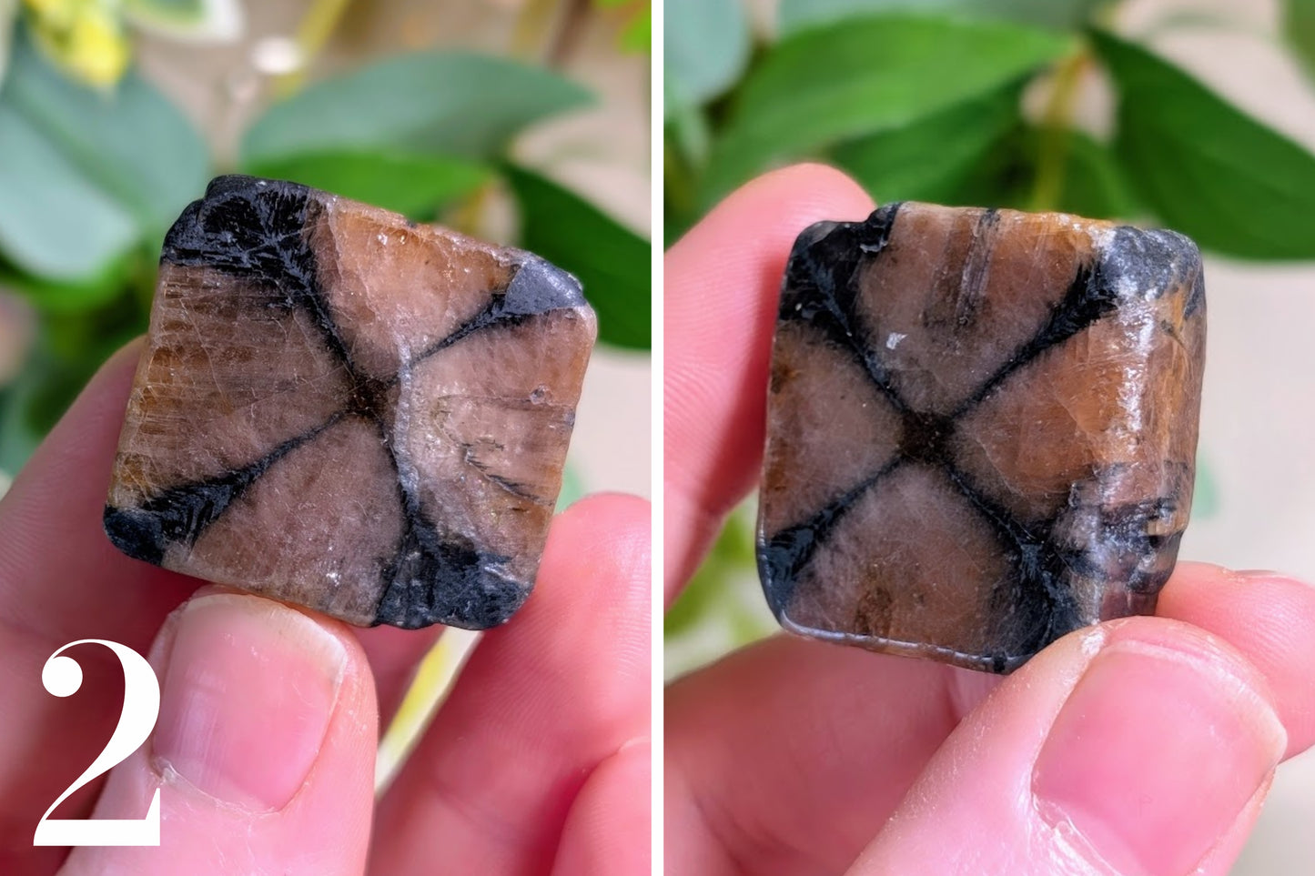 Chiastolite Thumb Stone