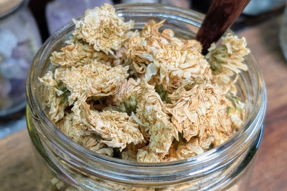 Chrysanthemum Flowers - 0.5 oz Bag