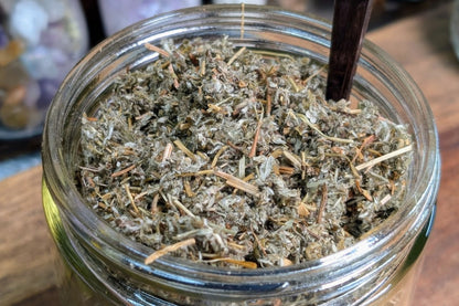 Cinquefoil - 0.5 oz Bag