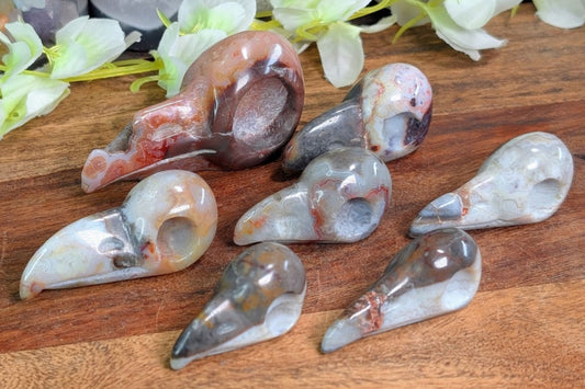 Crazy Lace Agate Bird Skull
