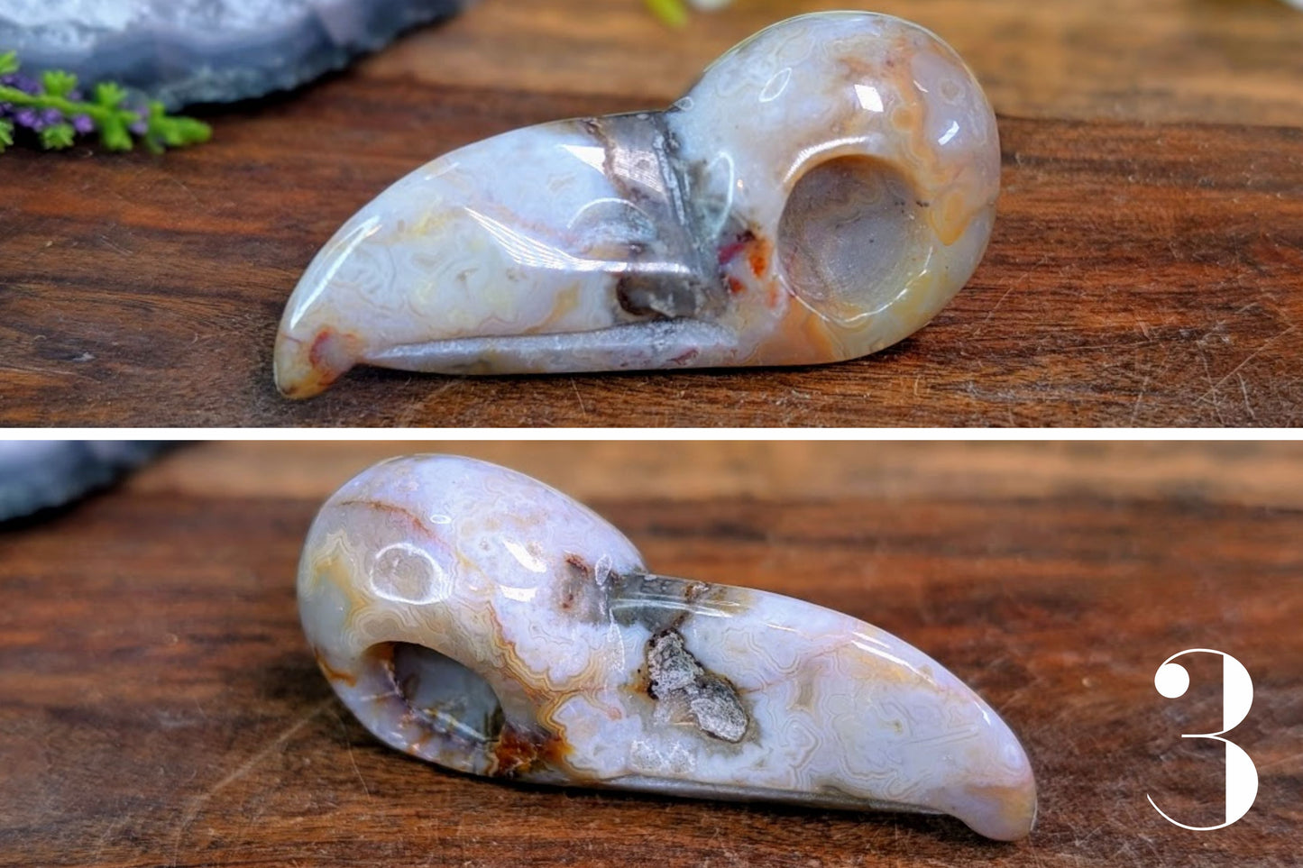 Crazy Lace Agate Bird Skull