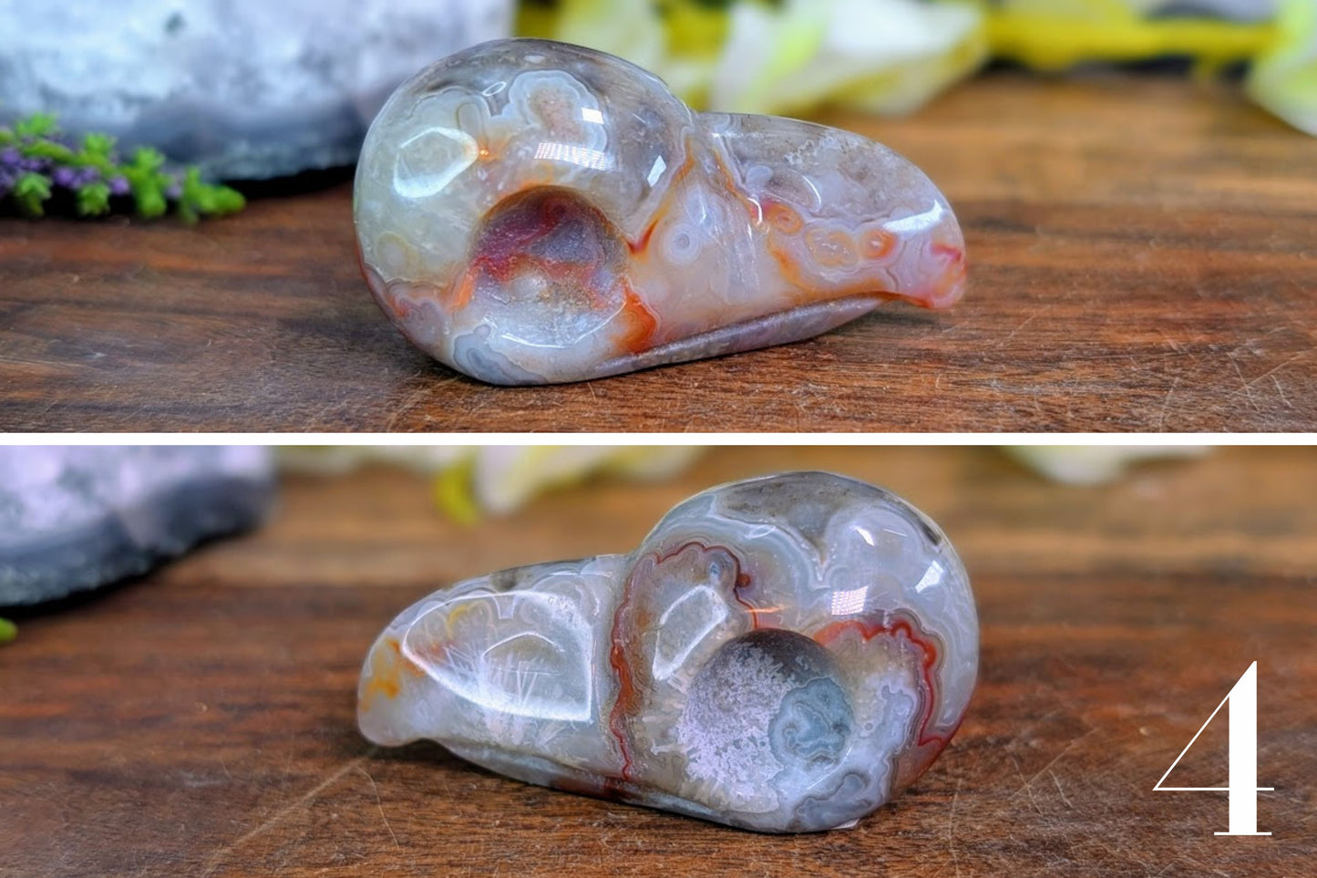 Crazy Lace Agate Bird Skull