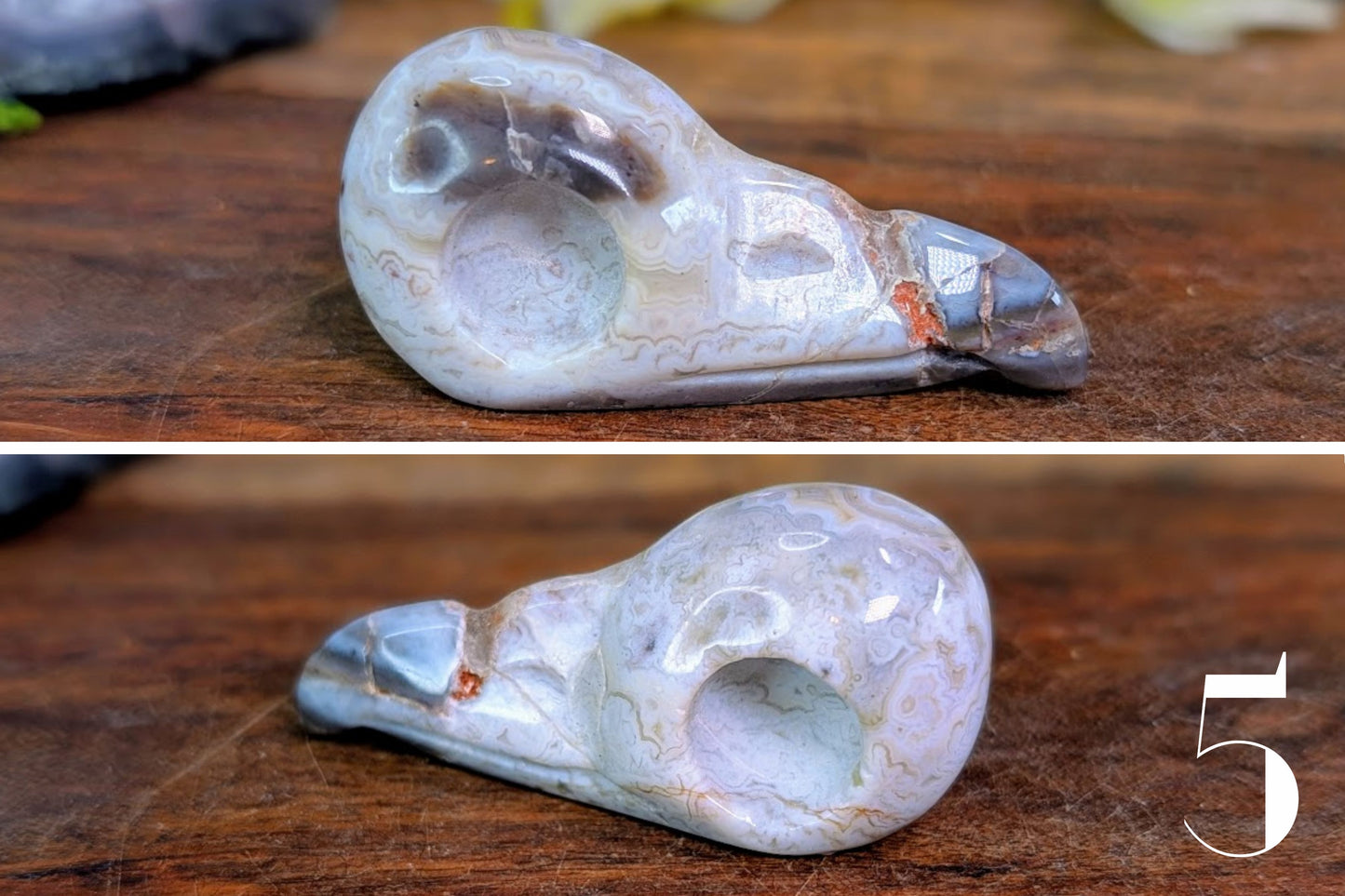 Crazy Lace Agate Bird Skull