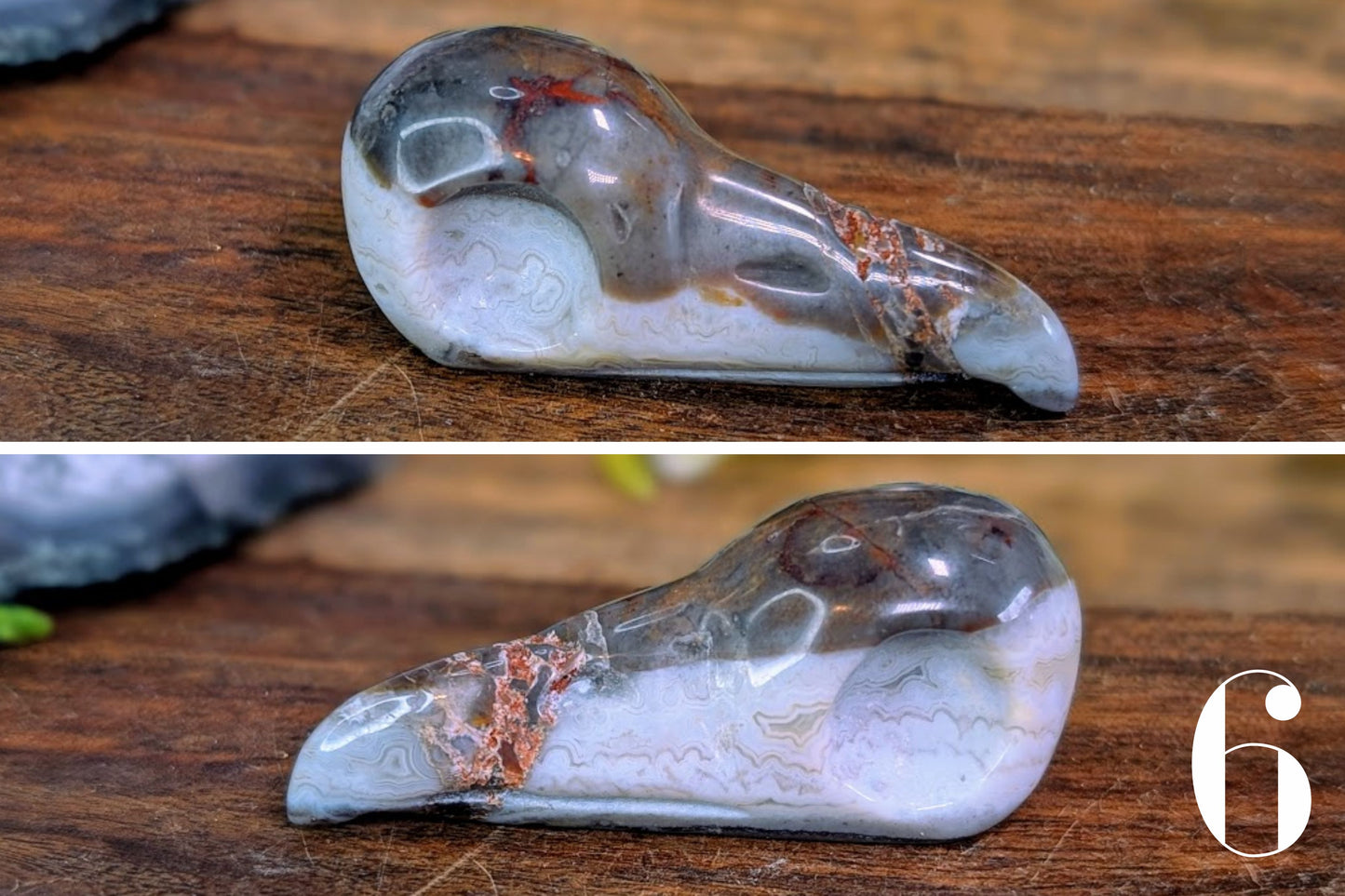Crazy Lace Agate Bird Skull