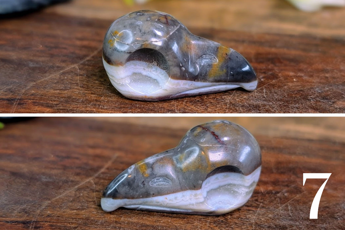 Crazy Lace Agate Bird Skull