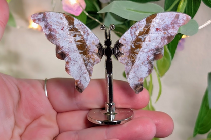 Crazy Lace Agate Butterfly on Stand