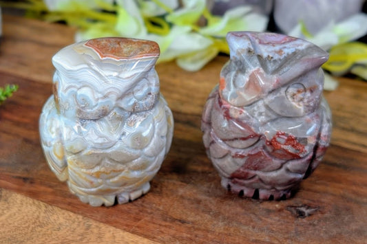 Crazy Lace Agate Owl