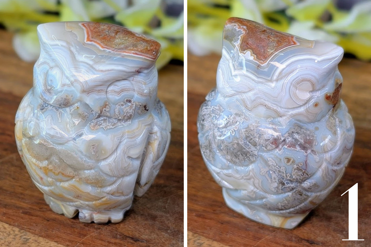 Crazy Lace Agate Owl