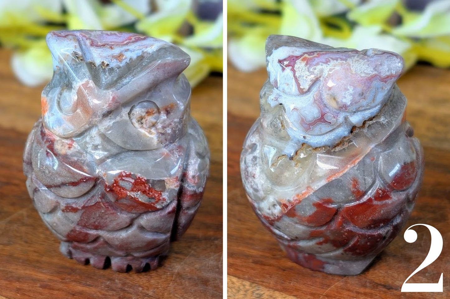 Crazy Lace Agate Owl