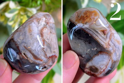 Crazy Lace Agate Palm Stone