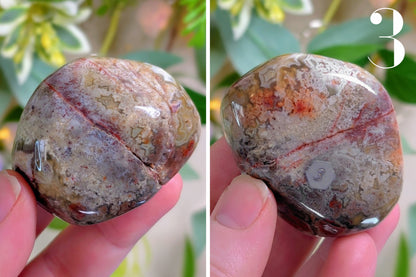 Crazy Lace Agate Palm Stone