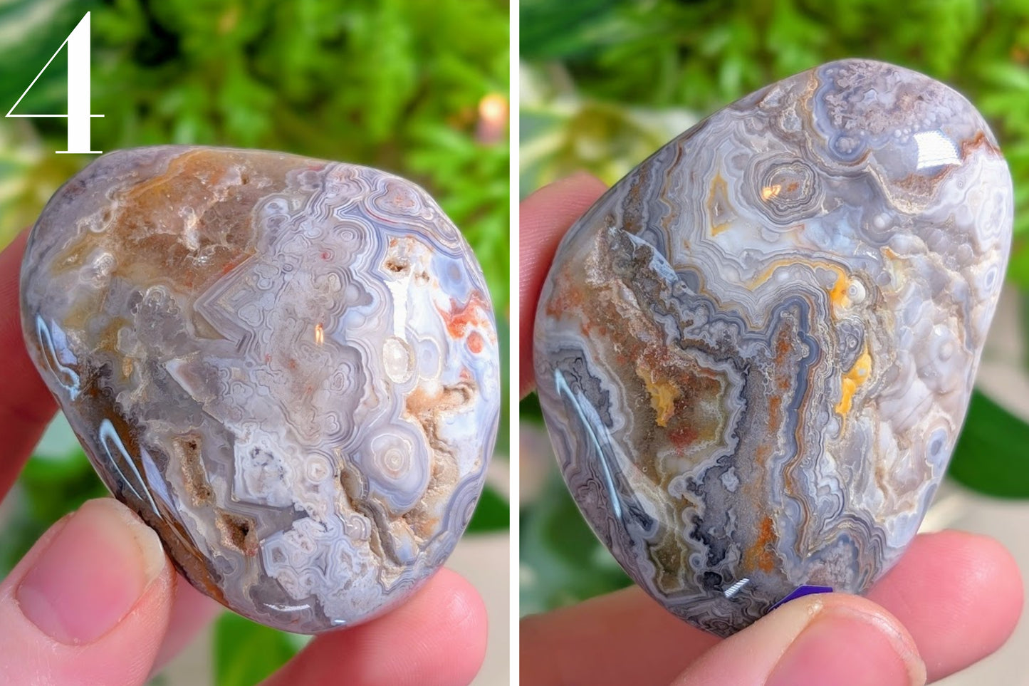 Crazy Lace Agate Palm Stone