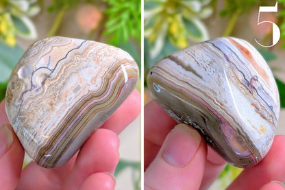 Crazy Lace Agate Palm Stone