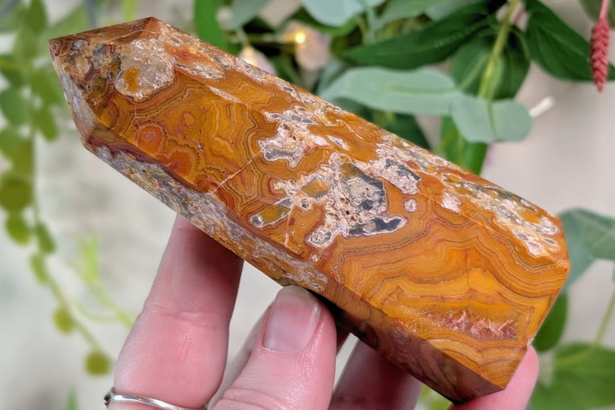 Crazy Lace Agate Point