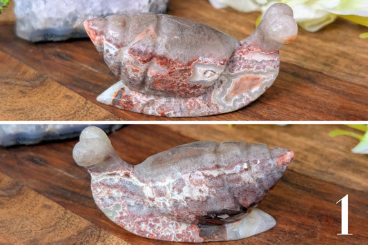 Crazy Lace Agate Snail