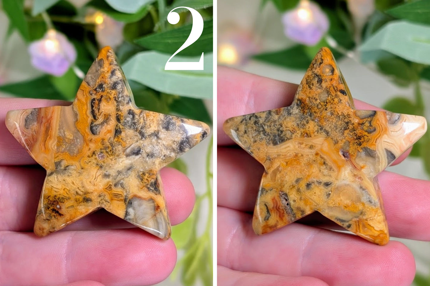 Crazy Lace Agate Star