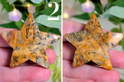 Crazy Lace Agate Star