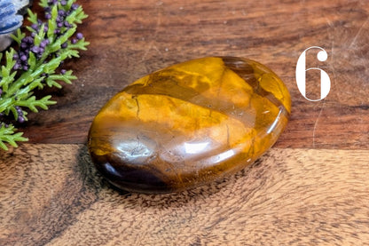 Desert Sunset Jasper Palm Stone