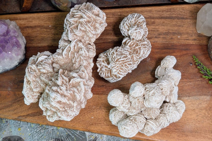 Desert Rose Cluster Specimen