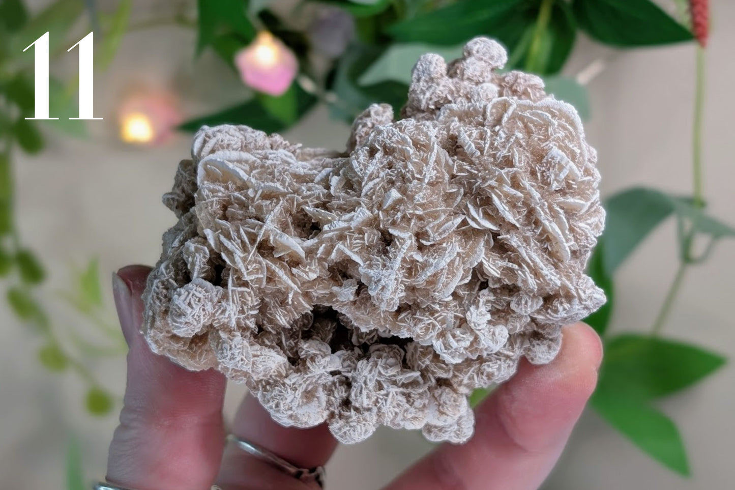 Desert Rose Cluster Specimen