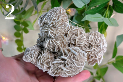Desert Rose Cluster Specimen