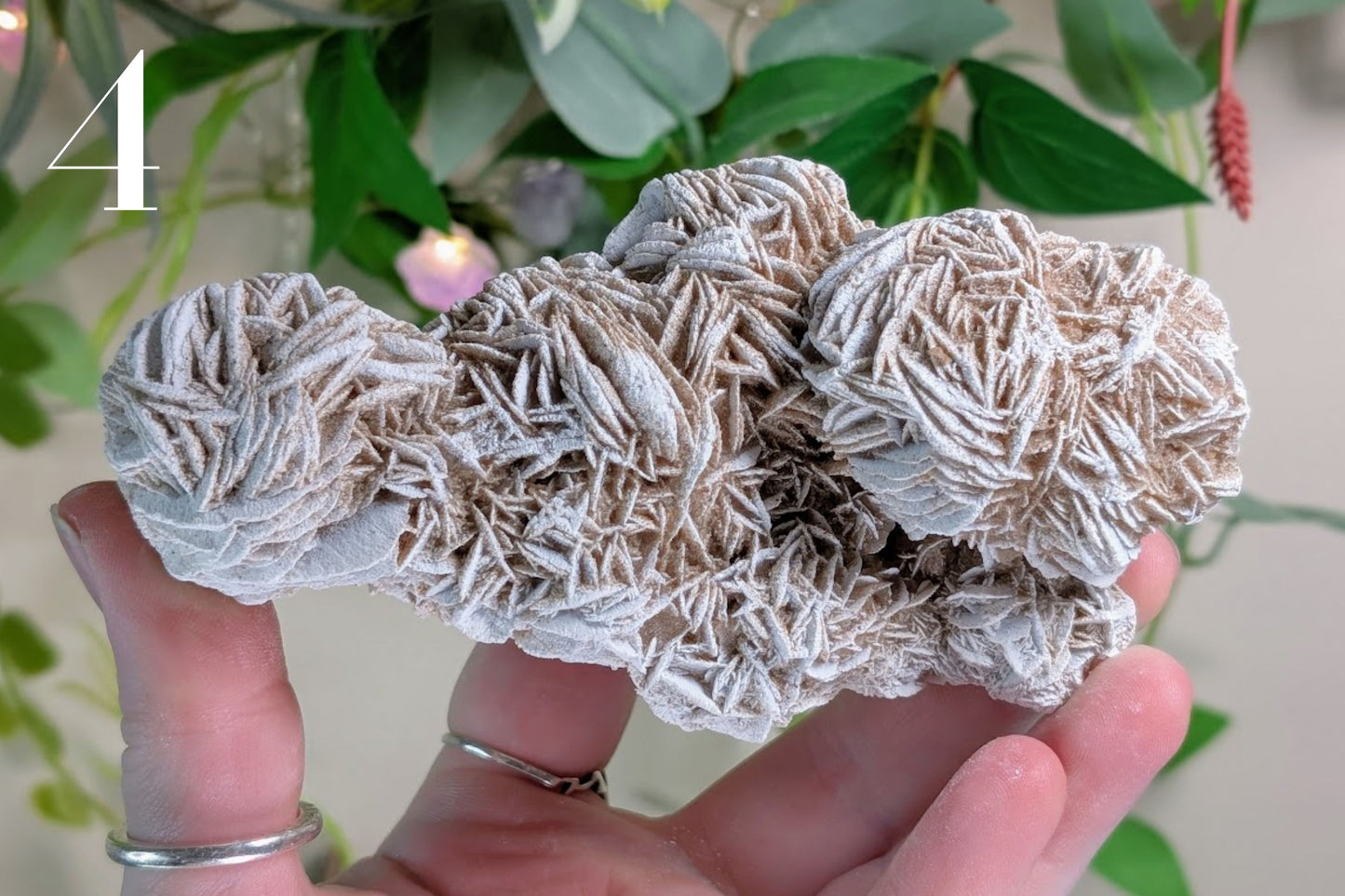 Desert Rose Cluster Specimen