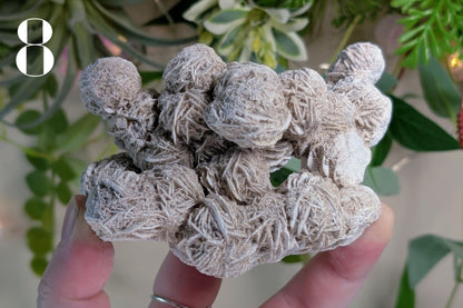 Desert Rose Cluster Specimen