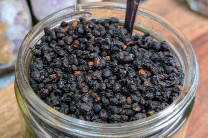 Elderberries - 0.5 oz Bag