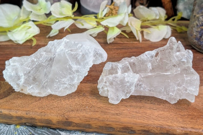 Fishtail Selenite Specimen