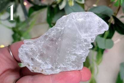 Fishtail Selenite Specimen