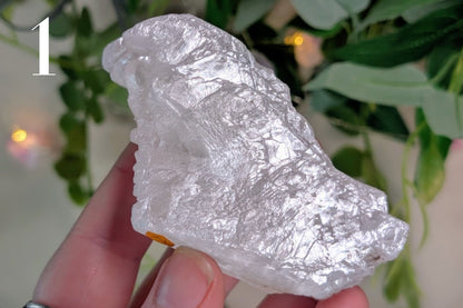 Fishtail Selenite Specimen