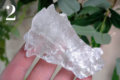 Fishtail Selenite Specimen