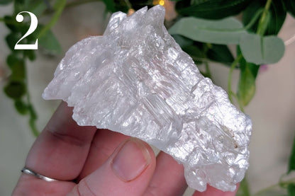 Fishtail Selenite Specimen