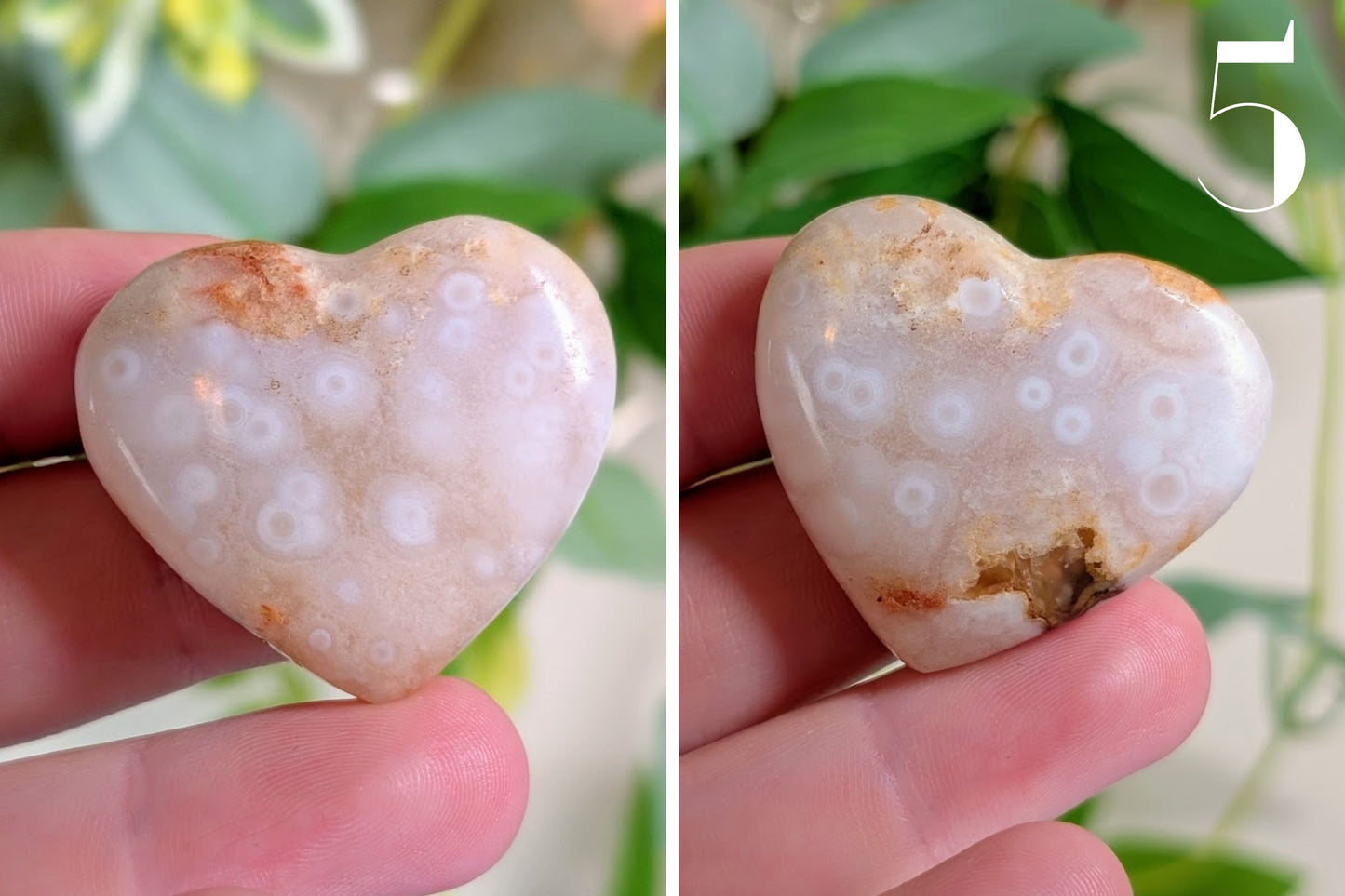 Flower Agate Heart