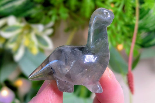 Fluorite Brontosaurus