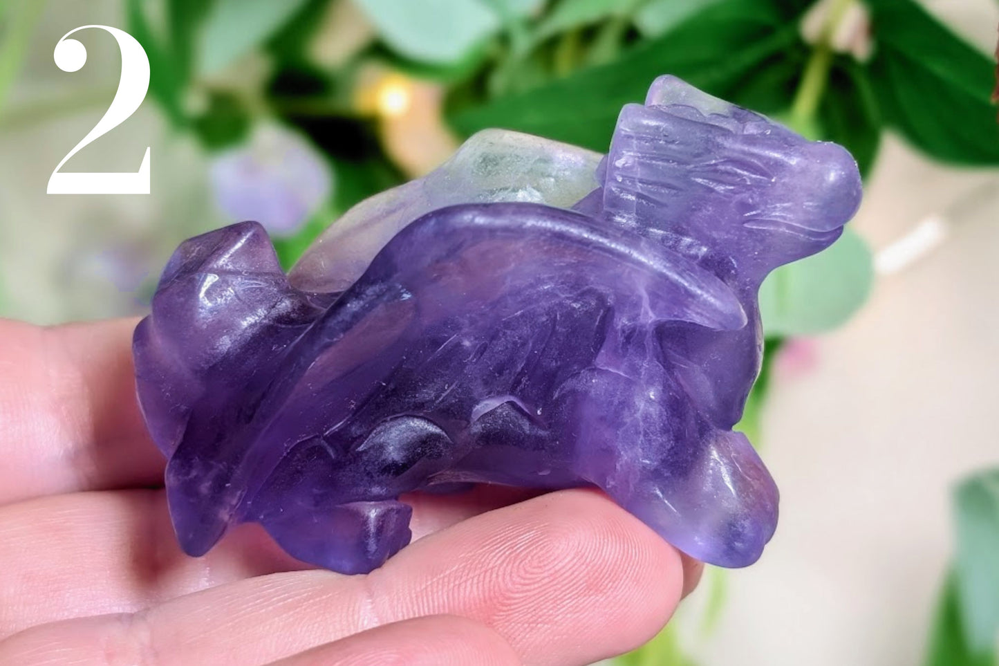 Fluorite Dragon