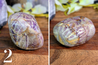 Fluorite Free Form Palm Stone